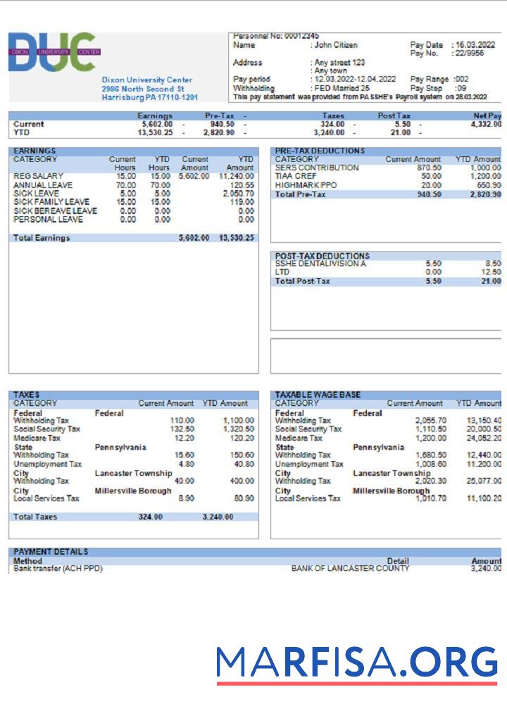 Realistic USA Dixon University Center educational company pay stub template